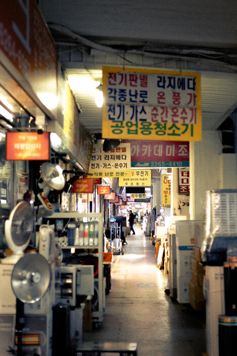 유현종